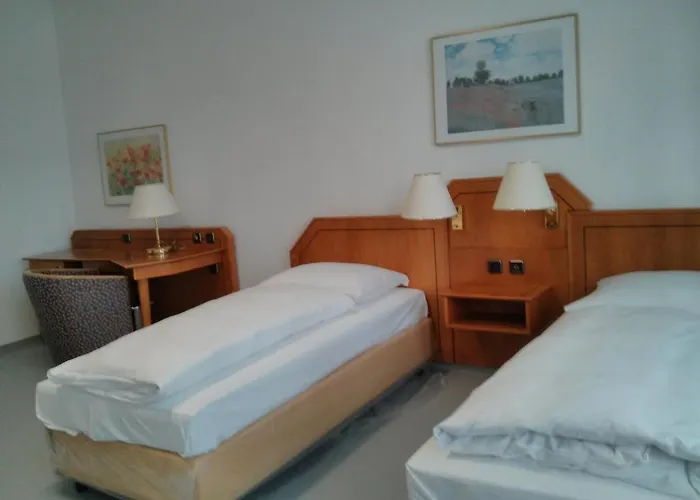 Willy Frankfurt 3* Francoforte sul Meno